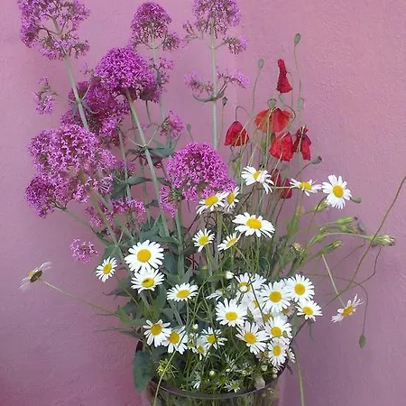 All'antica Bed & Breakfast 3*